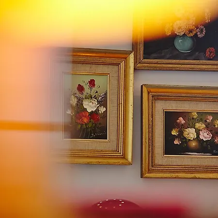 Chambres D'hotes Les Seraphines * Bordeaux